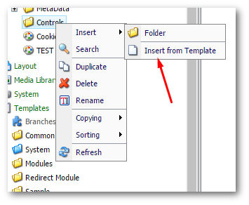 How To Create Templates in Sitecore 7 and Use Them In Layouts 4