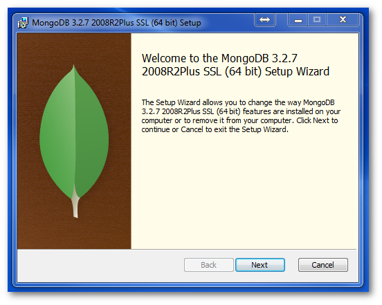 How To Install Mongo DB in 5 Minutes 1
